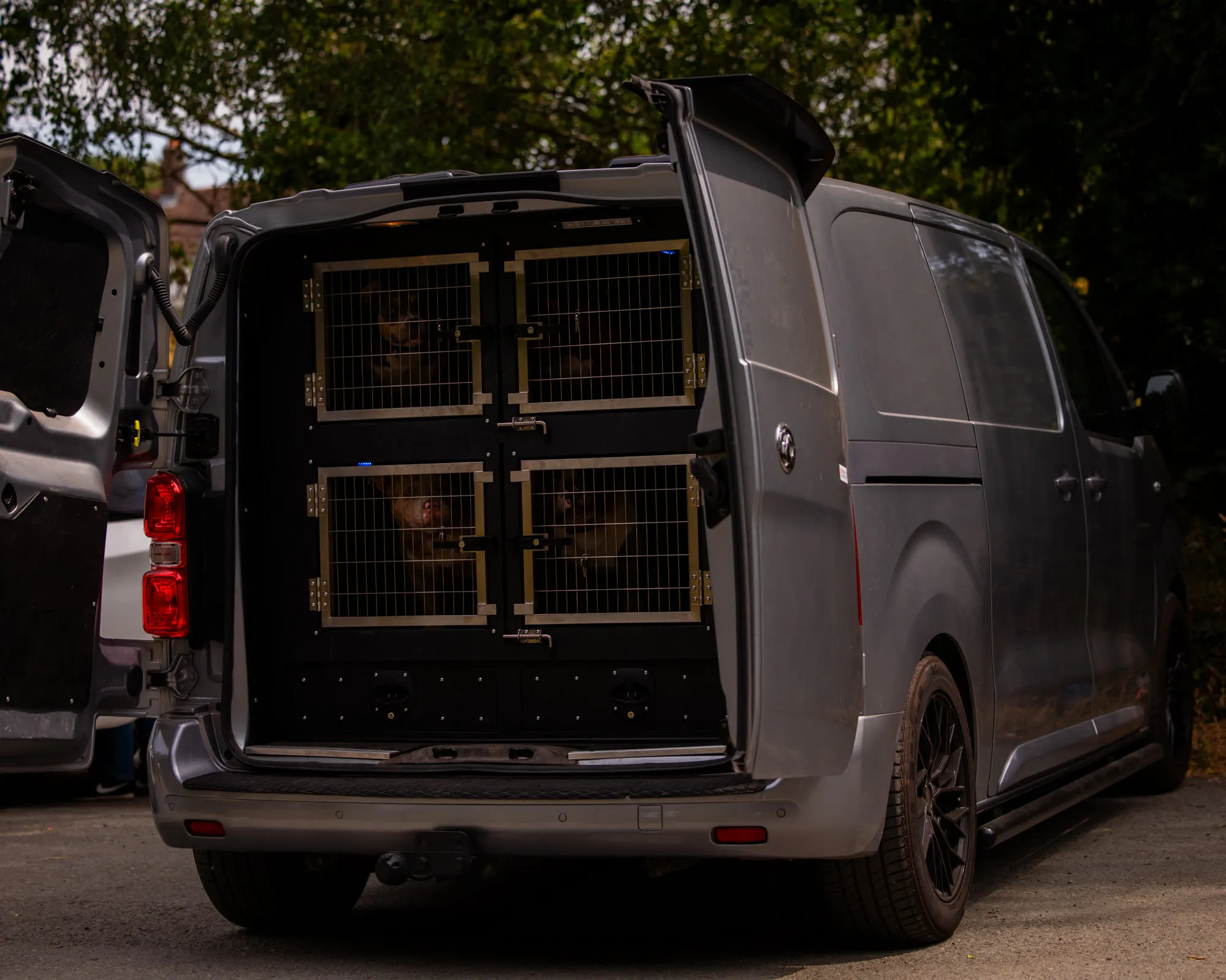 Grey van with its rear doors open, fitted with individual dog crates